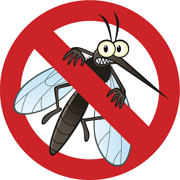 Dedetização para mosquitos em São Gonçalo