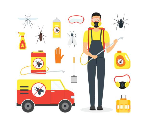 Imagem ilustrativa de Empresa de dedetização e desratização