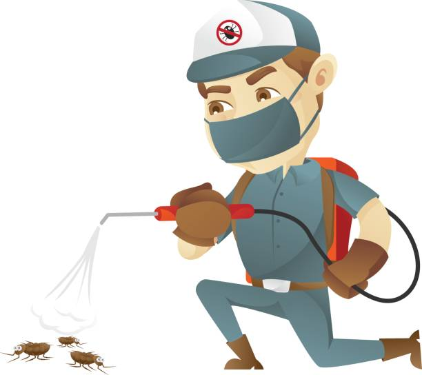 Imagem ilustrativa de Empresa de dedetização no Rio de Janeiro