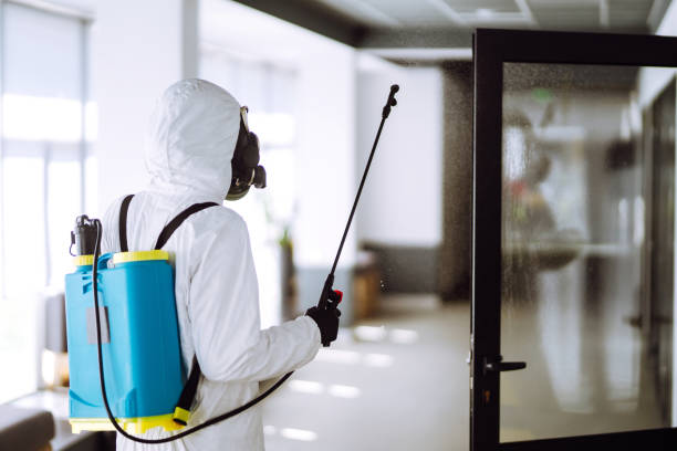 Sanitização de ambientes em São Gonçalo